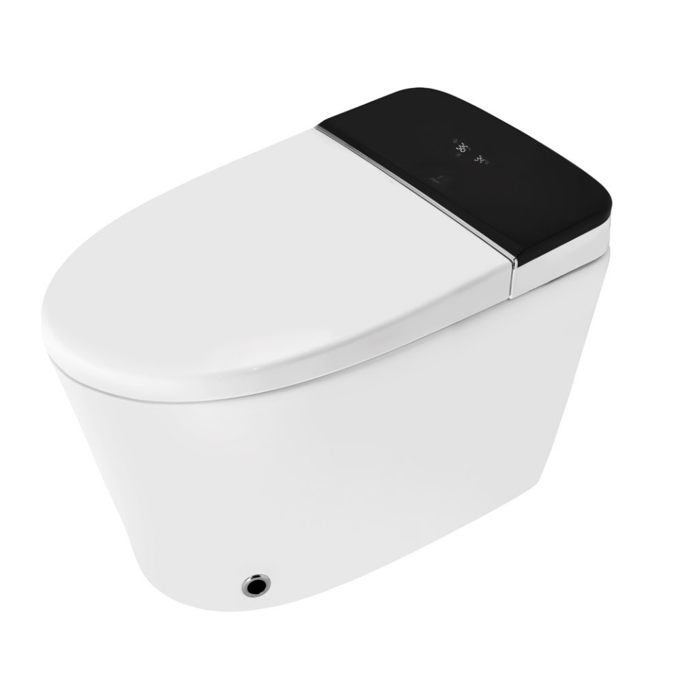 Fully Automatic Rimless Floor Mounted WC